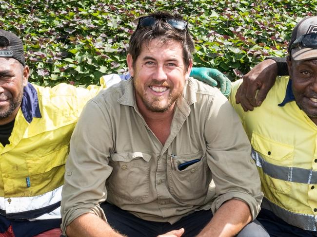 News Courier Mail, 7.12.2017 Bundaberg,  Sharon, QLD Vanuatu farm workers, Mankon Larzare, Redington Lini, Geroge Dau, Steven Dau & Kibson mamimai with Farmer Russell McCrystal on his Sweet potato nursery. Photo Paul Beutel