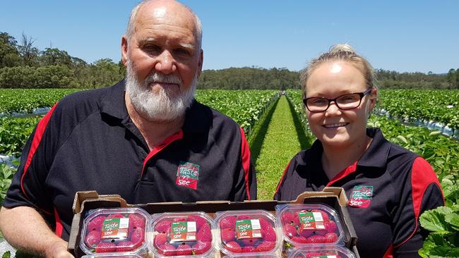 Taste 'N See strawberries is run by the Schiffke and Stothart families from Queensland.