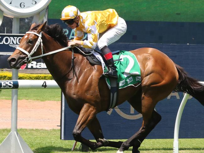 Thalassophile looks hard to beat in The Coast at Gosford on Saturday. Picture: Grant Guy