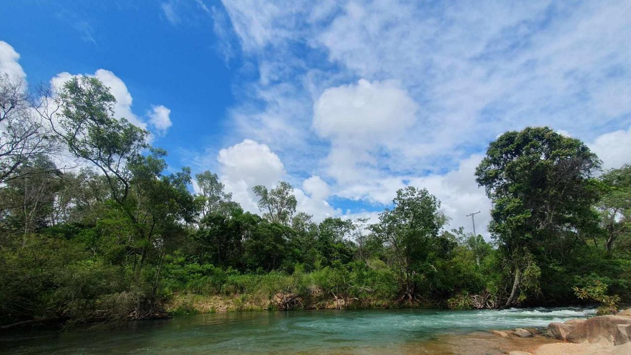 Wildlife officers find three saltwater crocodiles in Rollingstone Creek ...