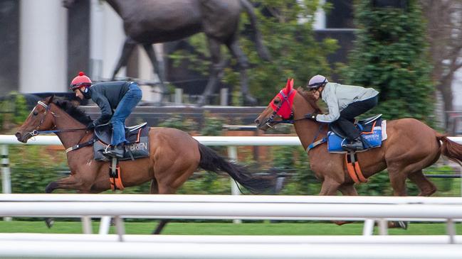 Vow And Declare, with Craig Williams, gallops behind Miami Bound, ridden by Brett Prebble, at Flemington trackwork. Picture: Jay Town