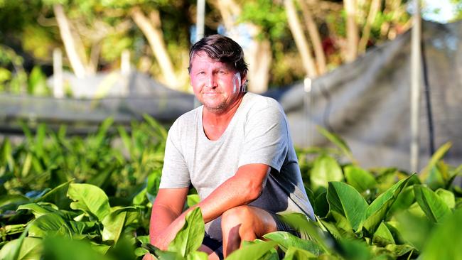 Ron Williams from Ron's Plant Farm, is finally getting his business back to normal after the Townsville Flood and COVID-19. Picture: Alix Sweeney