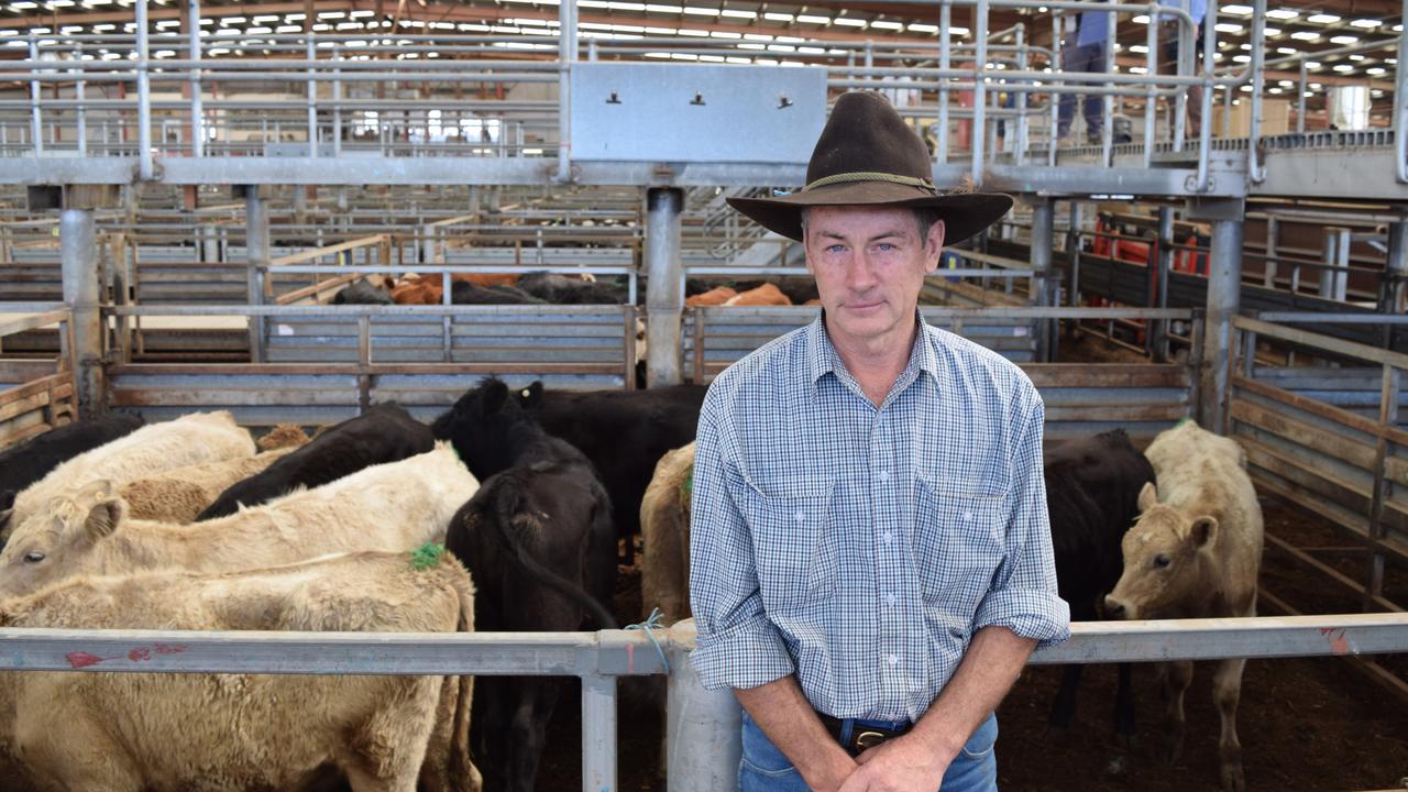 Photos from livestock sales held in April 2019 | The Weekly Times