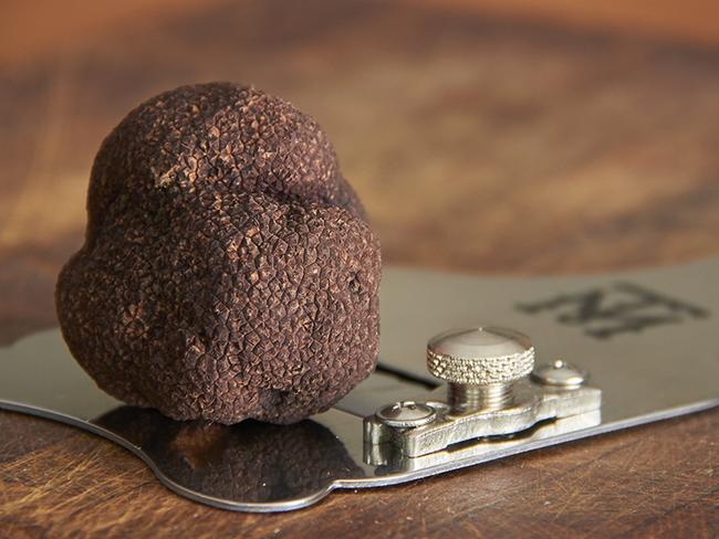 Black truffle