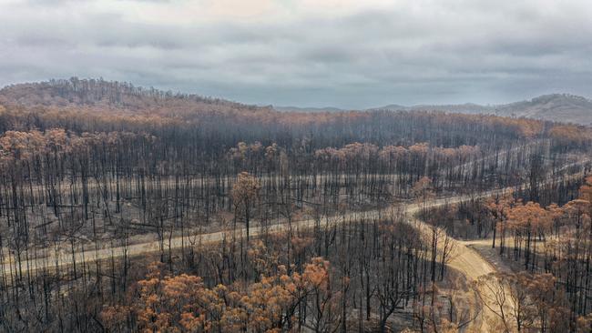 Areas hit hard by Victoria’s devastating bushfires are now preparing for heavy rain.. Picture: Alex Coppel.