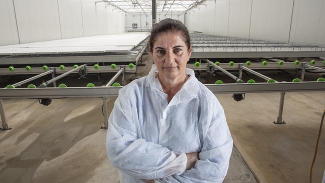 SA Tomato owner Oriana Petsios. Picture: Brett Hartwig