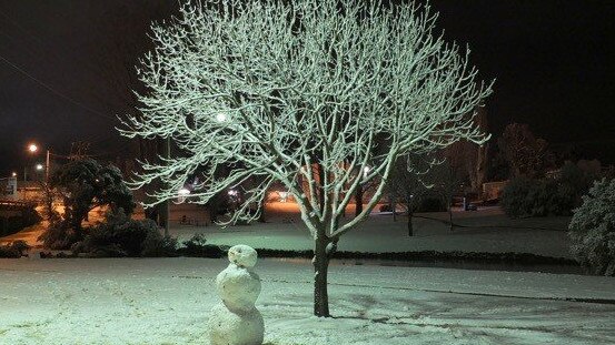 Snow-chasers have booked out accommodation across the Granite Belt ahead of predicted snowfall. Photo Contributed