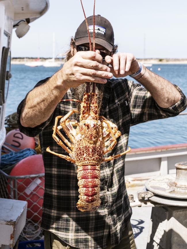 Apollo Bay Seafood Festival.