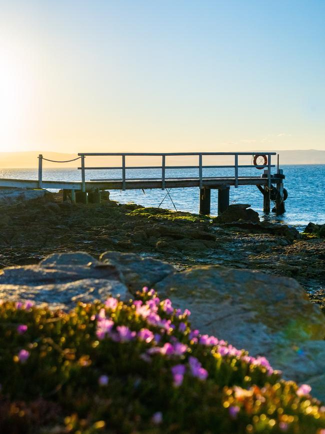 Picnic Island, Tasmania