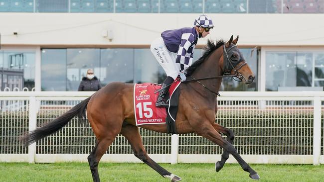 Young Werther won’t race in the Melbourne Cup after failing a CT scan. (Scott Barbour/Racing Photos via Getty Images)