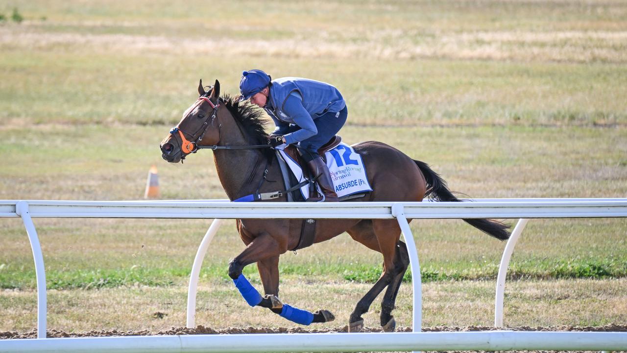 Three-time Cup winner Kerrin McEvoy will ride Absurde. (Photo by Reg Ryan/Racing Photos via Getty Images)