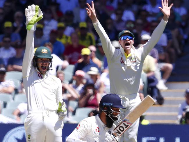 Tim Paine has brought energy and maturity to the Aussie side. Picture: Sarah Reed