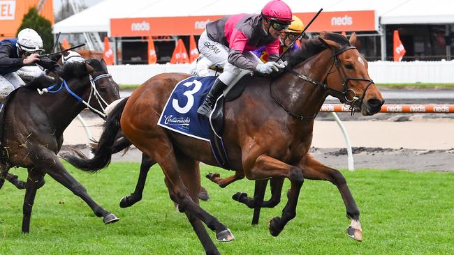 Sirileo Miss ridden by Ben Melham wins the Catanach's Jewellers Ladies' Day Vase at Caulfield Racecourse on October 12, 2022 in Caulfield, Australia. (Photo by Reg Ryan/Racing Photos via Getty Images)