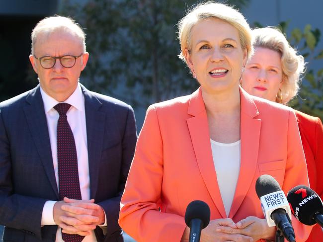 SYDNEY, AUSTRALIA : NewsWire Photos - SEPTEMBER 17 2024; Minister for the Environment and Water, Local MP Tanya Plibersek addresses the media with Prime Minister Anthony Albanese and Housing Minister Clare OÃNeil, in Rosebery in Sydney. Picture: NewsWire / Gaye Gerard