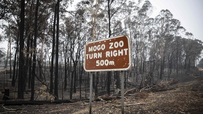 Scott Anthony Bruce Sullivan claimed his caravan had been destroyed by the Clyde Mountain bushfire at Mogo. Picture: John Feder