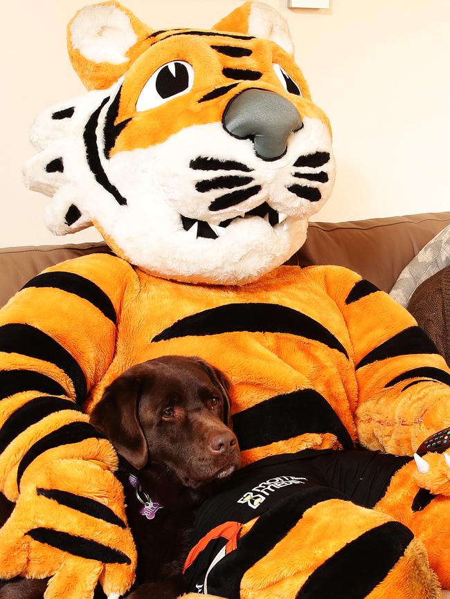 The Tigers mascot won’t be out of a job. Photo: Carly Earl