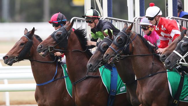 Horses jump at Warwick Farm. Picture: Phil Hillyard