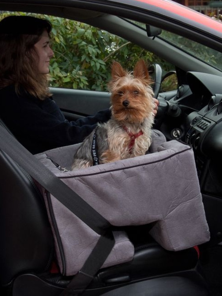 Petstock shop booster seat