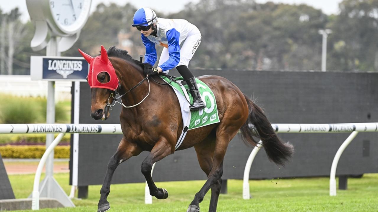 Fay's Angel can break through for a well-earned win. Picture: Bradley Photos