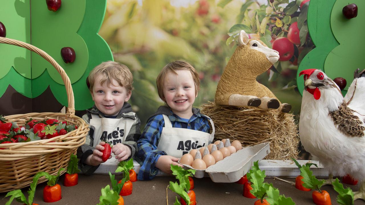 Tate Blackeby and Maxwell Pearce, both 3, check out Aggie’s Farm at the Royal Adelaide Show. Picture: Brett Hartwig