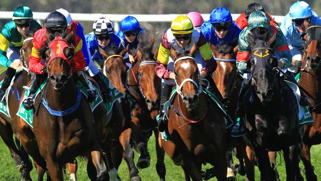 Racing in New South Wales on Friday is at Tamworth.