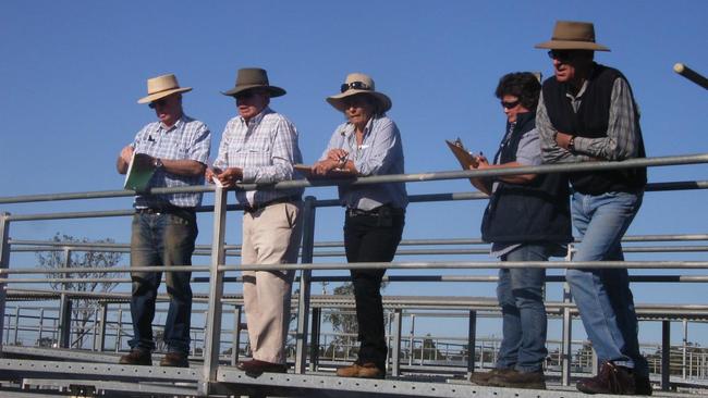 VALE: Marilyn Brazier (centre) is being remembered for her work at the saleyards.