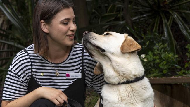 Therapy dog Beau pictured with AIN Roanna Humphries. Picture: Monique Harmer