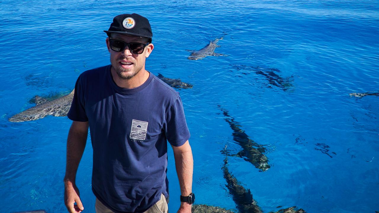 Mick Fanning in his two-part documentary, Save This Shark, set to air on National Geographic on September 15.