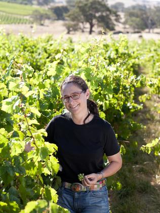 Meet the new generation of Barossa shiraz — and it’s excellent | The ...