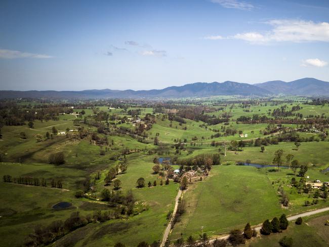 Green fields around the bushfire effected town of Cobargo after recent rain. Picture: Jonathan Ng