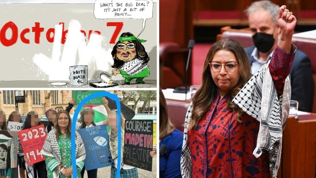 Greens senator Mehreen Faruqui in the Senate; Johannes Leak's cartoon, top left; Faruqui pictured with protesters, bottom left. Picture: Martin Ollman/NewsWire