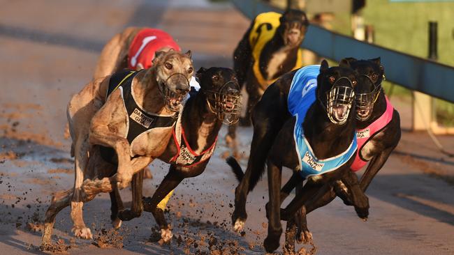 New trainer from Casino Nathan Toms gets first win in Darwin | NT News