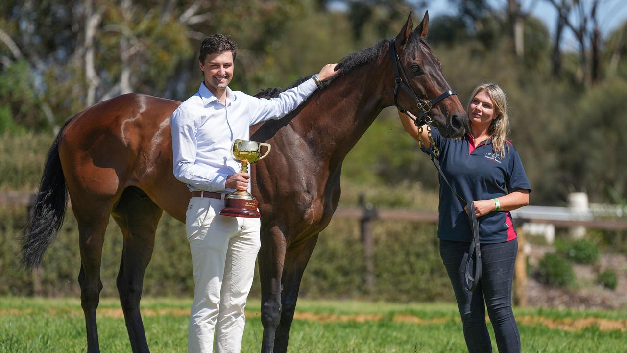 Melbourne Cup Winner Without A Fight