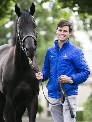 James Cummings Godolphin stars Kementari and Hartnell, Osborne Park ...