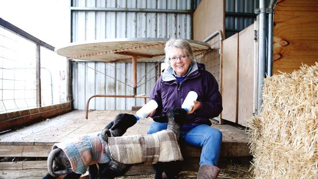 Saltbush Kitchen and suppliersGlen Greenock Farm.Photo by Chloe Smith.