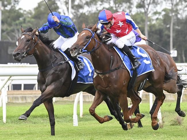 Sweet Mercy (red and blue cap, red silks with white stars and blue and white sleeves) wins at Warwick Farm in March. Mitch Cohen thinks the David Payne-trained mare is a terrific chance at a good price at Randwick on Saturday. Picture: Bradley Photos