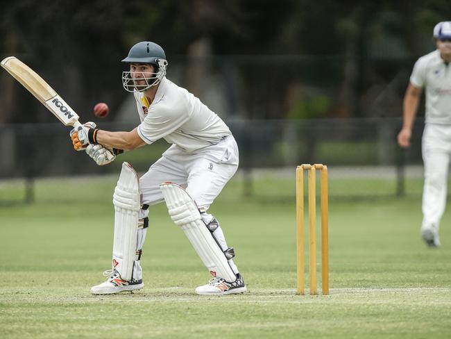 Dingley batsman Ryan McLean. Picture: Valeriu Campan