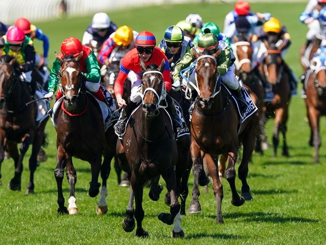 Verry Elleegant owner Brae Sokolski says his mare has nothing left to prove in Australia which is why they are taking her overseas. Picture: Scott Barbour/Racing Photos via Getty Images