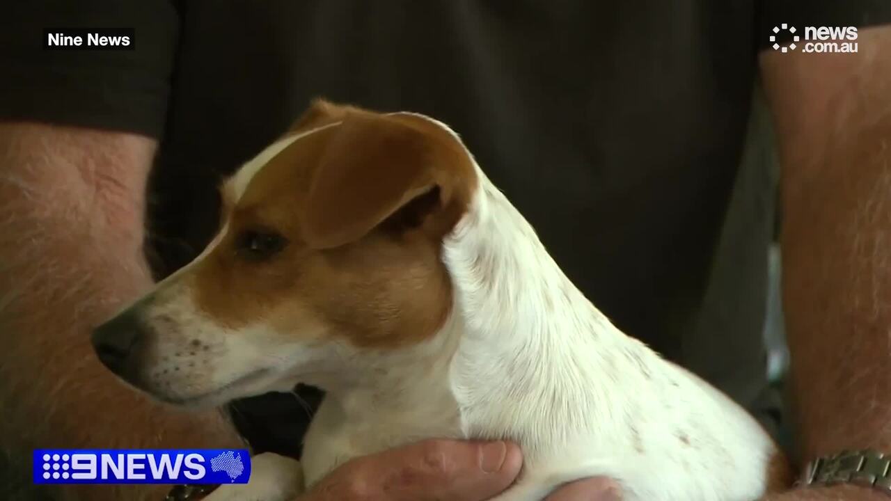 Brothers and three-legged dog rescued from capsized boat