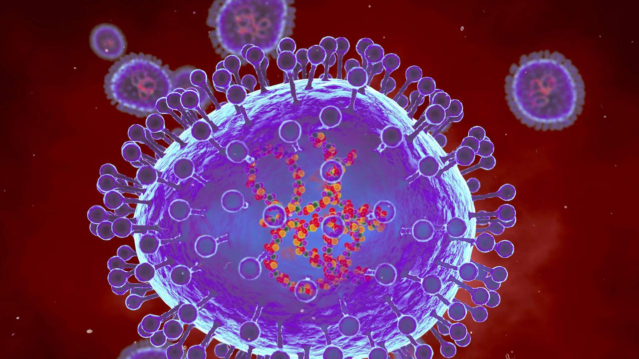 hMPV virus spike Cases of cold virus spreads in NSW, QLD Human