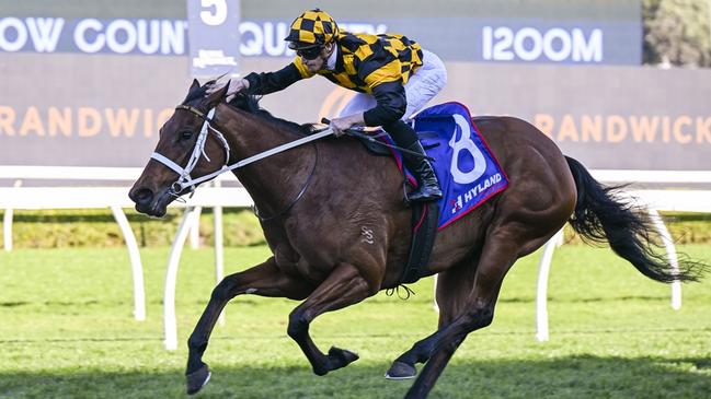 Joliestar wins at Royal Randwick on August 24, 2024. Picture: Bradley Photos