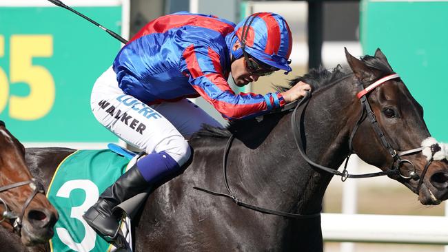 Jockey Michael Walker rides Prince Of Arran to victory in the Geelong Cup. Picture: AAP Image/Michael Dodge