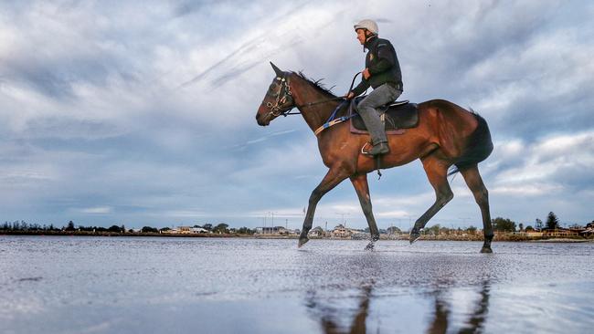 Ben Cadden aboard Cox Plate favourite Winx at Altona Beach on Sunday morning. Picture: Colleen Petch