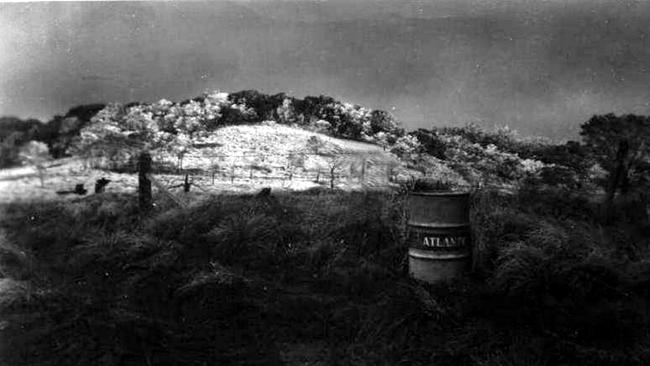 A fall of snow on the Bunya Mountains. This photograph was taken in 1949 at Westcott which is now a camping and picnic area. Photo: Em Haviland.