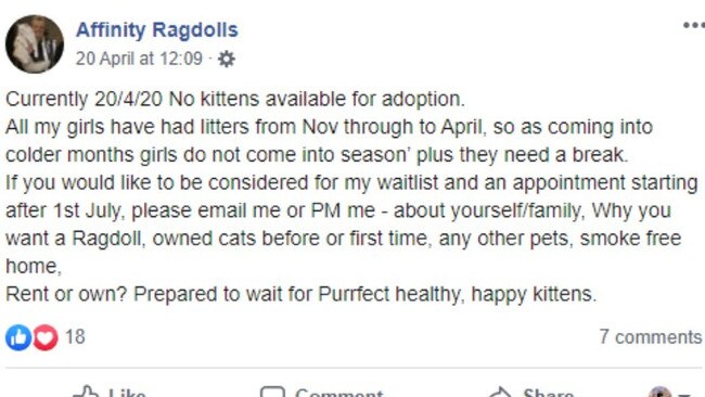 Breeder Rebekah Darmody, from Affinity Ragdolls, says she currently receives a minimum of a dozen inquiries for kittens a day, even though she will not have any available for months.