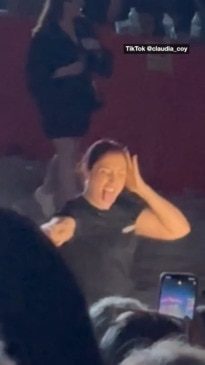 AUSLAN interpreter steals the show at P! nk's Australian concert