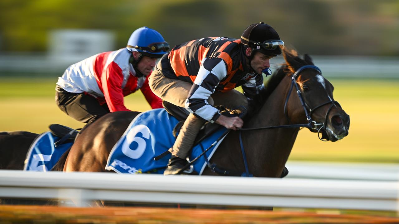 Fawkner Park out of Caulfield Cup, heading back to Sydney