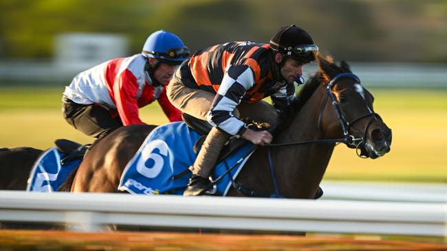 MELBOURNE, AUSTRALIA - OCTOBER 08: Jamie Mott riding Fawkner Park during a trackwork session at Caulfield Racecourse on October 08, 2024 in Melbourne, Australia. (Photo by Vince Caligiuri/Getty Images)