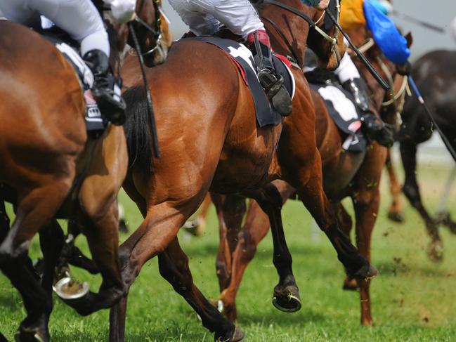 A field of horses and jockeys during a race.