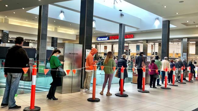 The line-up at Foodland at Norwood Place. Picture: Tricia Watkinson